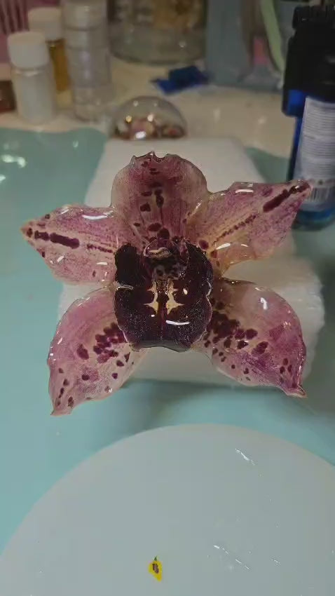 Gancho de Cabelo Botânico Maxi – Orquídea Cymbidium