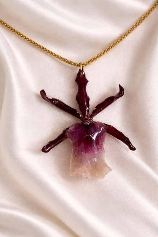 Orquídea-Aranha Eternizada em Tons de Vinho – Colar Botânico de Alma Romântica | Eternal Flowers