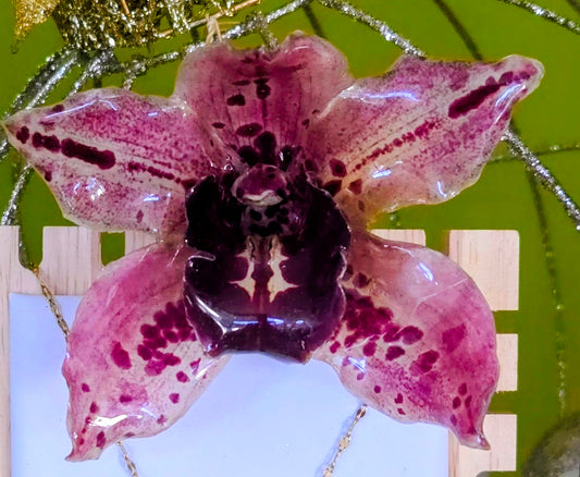 Gancho de Cabelo Botânico Maxi – Orquídea Cymbidium